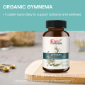 AGEMNEMA ORGANIC SYLVESTE SUPLEMENTO APOIO